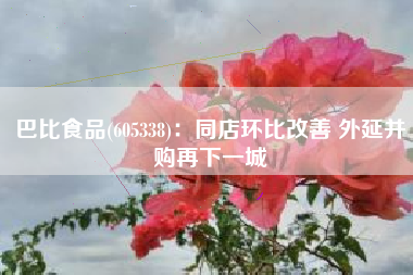 巴比食品(605338)：同店环比改善 外延并购再下一城
