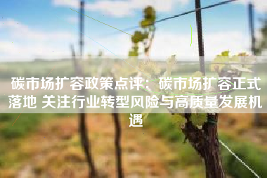 碳市场扩容政策点评：碳市场扩容正式落地 关注行业转型风险与高质量发展机遇