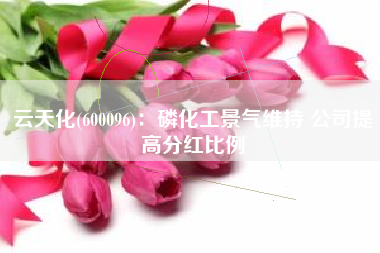 云天化(600096)：磷化工景气维持 公司提高分红比例