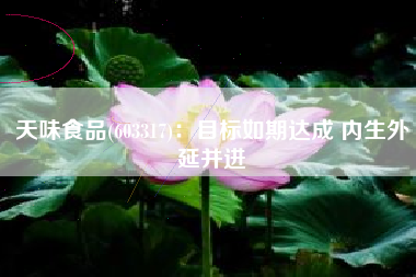 天味食品(603317)：目标如期达成 内生外延并进
