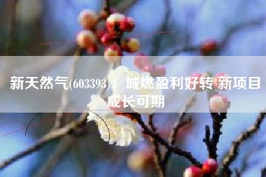 新天然气(603393)：城燃盈利好转 新项目成长可期