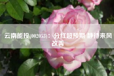 云南能投(002053)：分红超预期 静待来风改善