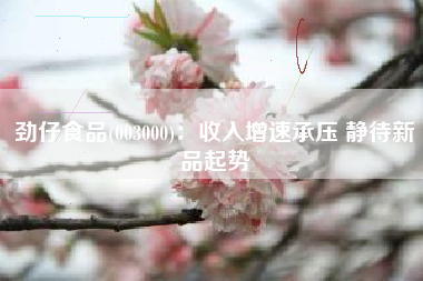 劲仔食品(003000)：收入增速承压 静待新品起势