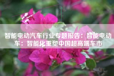 智能电动汽车行业专题报告：智能电动车：智能化重塑中国超高端车市