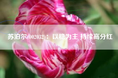 苏泊尔(002032)：以稳为主 持续高分红