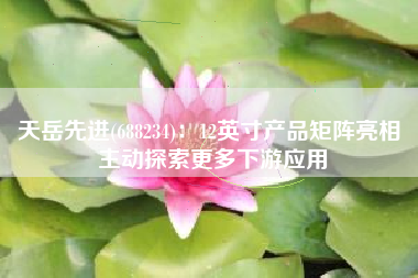 天岳先进(688234)：12英寸产品矩阵亮相 主动探索更多下游应用