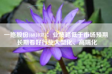 一拖股份(601038)：业绩略低于市场预期 长期看好行业大型化、高端化