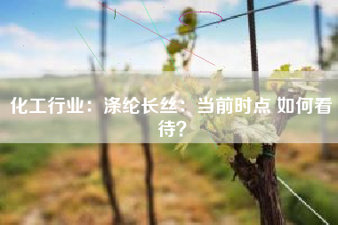 化工行业：涤纶长丝：当前时点 如何看待？