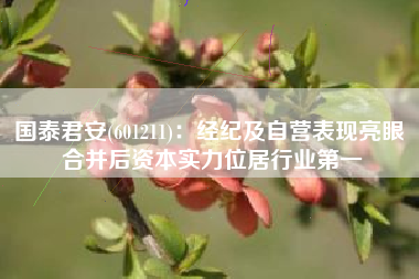 国泰君安(601211)：经纪及自营表现亮眼 合并后资本实力位居行业第一