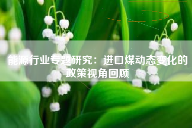 能源行业专题研究：进口煤动态变化的政策视角回顾