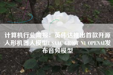 计算机行业周报：英伟达推出首款开源人形机器人模型I SAAC GR00T N1 OPENAI发布音频模型