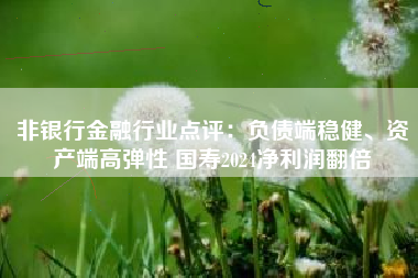 非银行金融行业点评：负债端稳健、资产端高弹性 国寿2024净利润翻倍