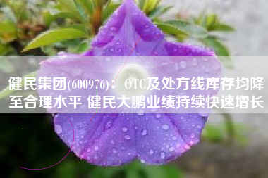 健民集团(600976)：OTC及处方线库存均降至合理水平 健民大鹏业绩持续快速增长