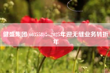 健盛集团(603558)：2025年迎无缝业务转折年