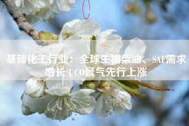 基础化工行业：全球生物柴油、SAF需求增长 UCO景气先行上涨