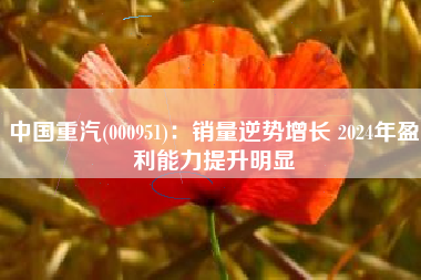 中国重汽(000951)：销量逆势增长 2024年盈利能力提升明显