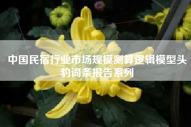 中国民宿行业市场规模测算逻辑模型头豹词条报告系列