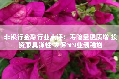 非银行金融行业点评：寿险量稳质增 投资兼具弹性 太保2024业绩稳增