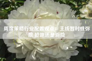 周度策略行业配置观点：主线暂时性弥散 抢跑还是避险