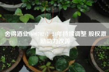 舍得酒业(600702)：24年持续调整 股权激励助力改善