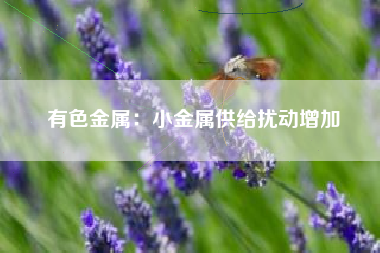有色金属：小金属供给扰动增加