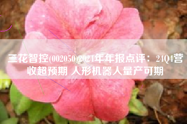 三花智控(002050)2024年年报点评：24Q4营收超预期 人形机器人量产可期