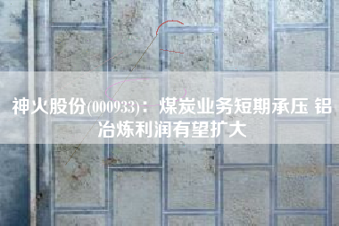 神火股份(000933)：煤炭业务短期承压 铝冶炼利润有望扩大