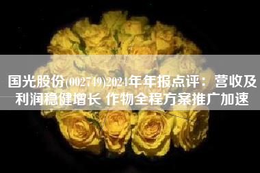 国光股份(002749)2024年年报点评：营收及利润稳健增长 作物全程方案推广加速