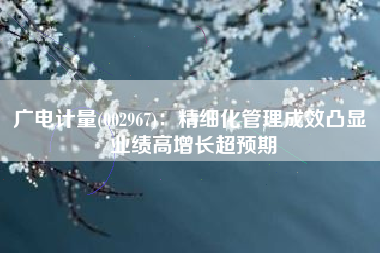 广电计量(002967)：精细化管理成效凸显 业绩高增长超预期
