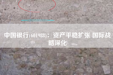 中国银行(601988)：资产平稳扩张 国际战略深化