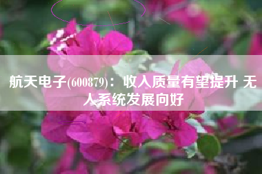 航天电子(600879)：收入质量有望提升 无人系统发展向好