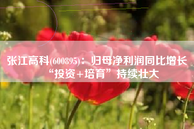 张江高科(600895)：归母净利润同比增长 “投资+培育”持续壮大