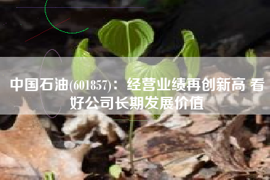 中国石油(601857)：经营业绩再创新高 看好公司长期发展价值