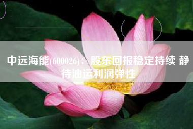 中远海能(600026)：股东回报稳定持续 静待油运利润弹性