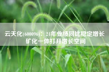 云天化(600096)：24年业绩同比稳定增长 矿化一体打开增长空间