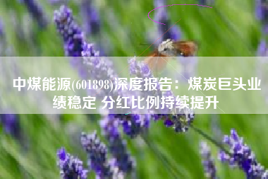 中煤能源(601898)深度报告：煤炭巨头业绩稳定 分红比例持续提升