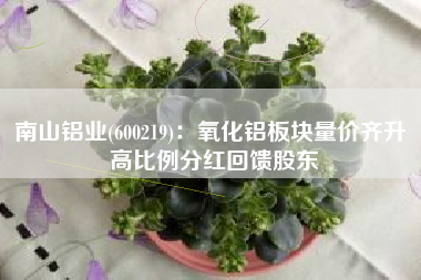 南山铝业(600219)：氧化铝板块量价齐升 高比例分红回馈股东