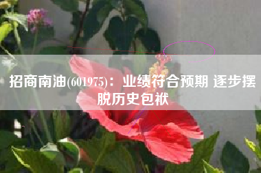 招商南油(601975)：业绩符合预期 逐步摆脱历史包袱