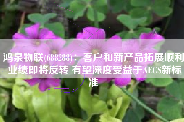 鸿泉物联(688288)：客户和新产品拓展顺利 业绩即将反转 有望深度受益于AECS新标准