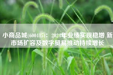 小商品城(600415)：2024年业绩实现稳增 新市场扩容及数字贸易推动持续增长