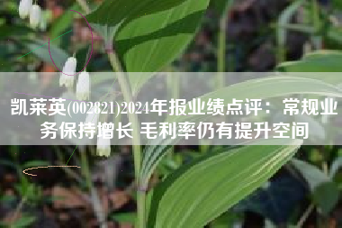 凯莱英(002821)2024年报业绩点评：常规业务保持增长 毛利率仍有提升空间