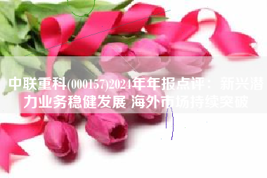 中联重科(000157)2024年年报点评：新兴潜力业务稳健发展 海外市场持续突破