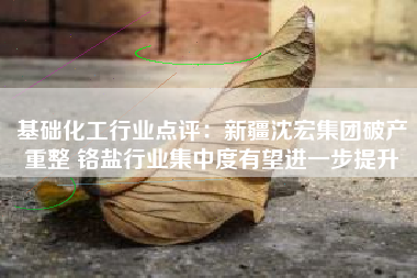 基础化工行业点评：新疆沈宏集团破产重整 铬盐行业集中度有望进一步提升