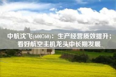 中航沈飞(600760)：生产经营质效提升；看好航空主机龙头中长期发展