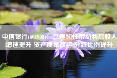 中信银行(601998)：息差韧性带动利息收入增速提升 资产质量改善 分红比例提升