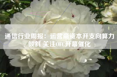 通信行业周报：运营商资本开支向算力倾斜 关注OFC开幕催化