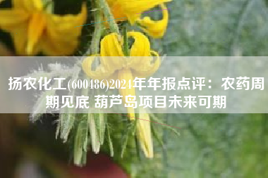 扬农化工(600486)2024年年报点评：农药周期见底 葫芦岛项目未来可期