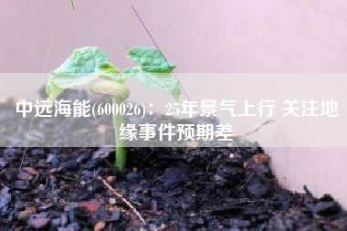 中远海能(600026)：25年景气上行 关注地缘事件预期差