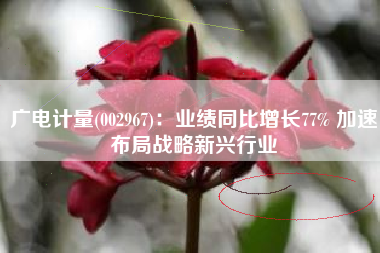 广电计量(002967)：业绩同比增长77% 加速布局战略新兴行业