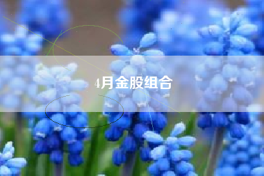 4月金股组合 4月金股组合